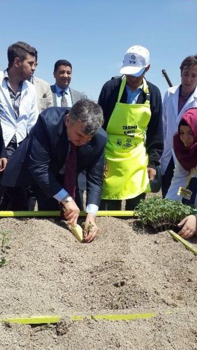 Büyükşehir’den Örnek Tarım Projeleri 2