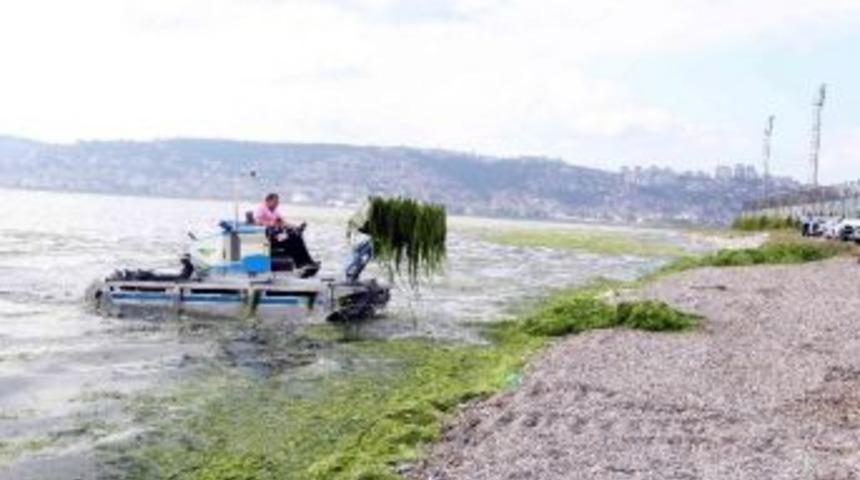 İzmit K&ouml;rfezi S&uuml;rekli Denetleniyor