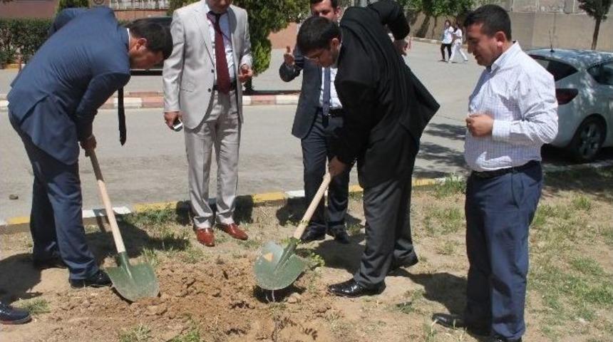 Cizre&rsquo;de Fidan Dikme T&ouml;reni