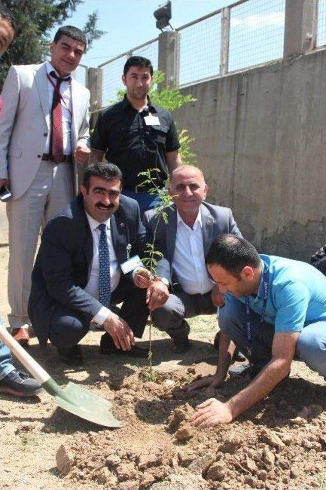 Cizre’de Fidan Dikme Töreni 1