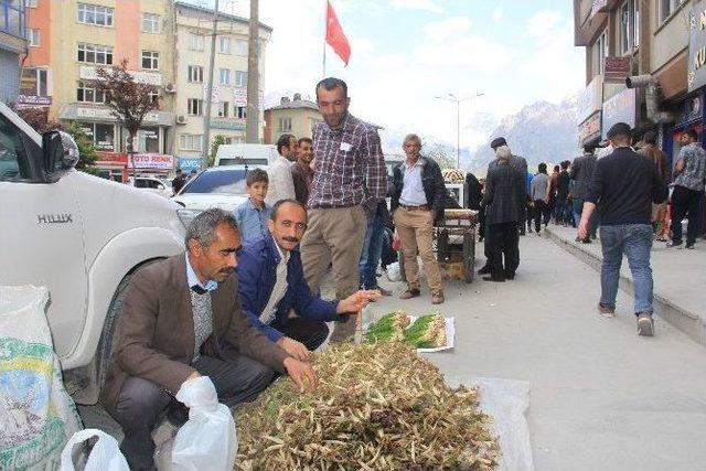 Hakkari’de Şifalı Pancar Tezgahları Kuruldu