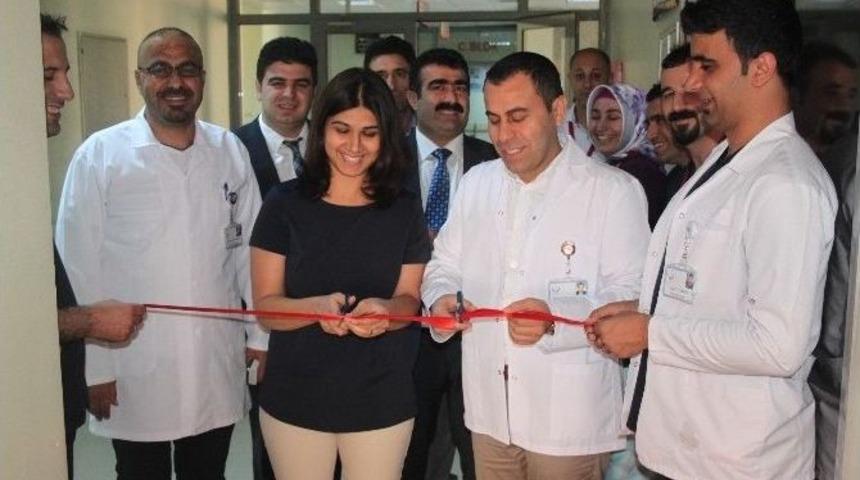Cizre Devlet Hastanesinde &lsquo;anne Oteli&rsquo; A&ccedil;ıldı