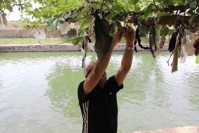 Bu Da Gaziantep’in Balıklı Gölü