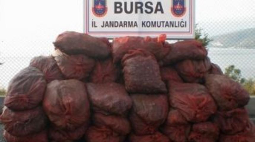 Bursa&rsquo;da Midye Operasyonu