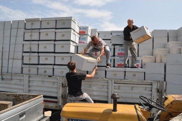 İnegöllü Arıcılara Kovan Desteği 2