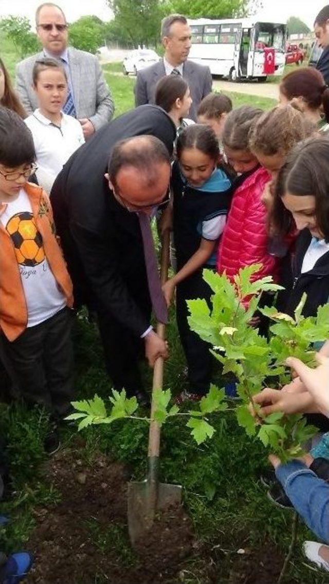 Davetiye Yazan Öğrencinin İsmi Çınarla Yaşayacak 1