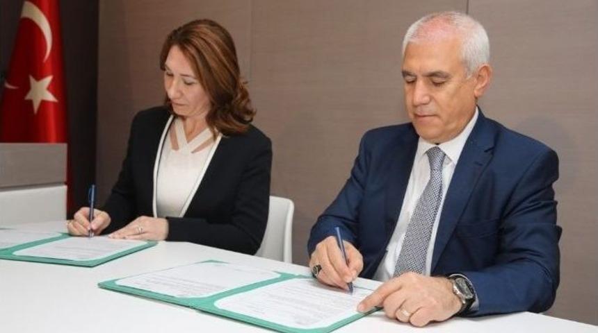 Nil&uuml;fer&rsquo;de Tarım Kontrol Altında Olacak