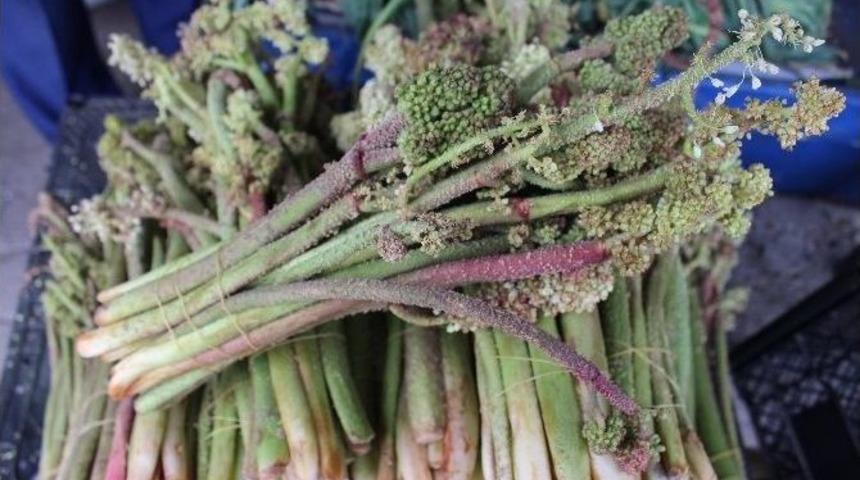 Kansere Şifa Olduğu Ortaya &Ccedil;ıkan Işgın Yok Satıyor