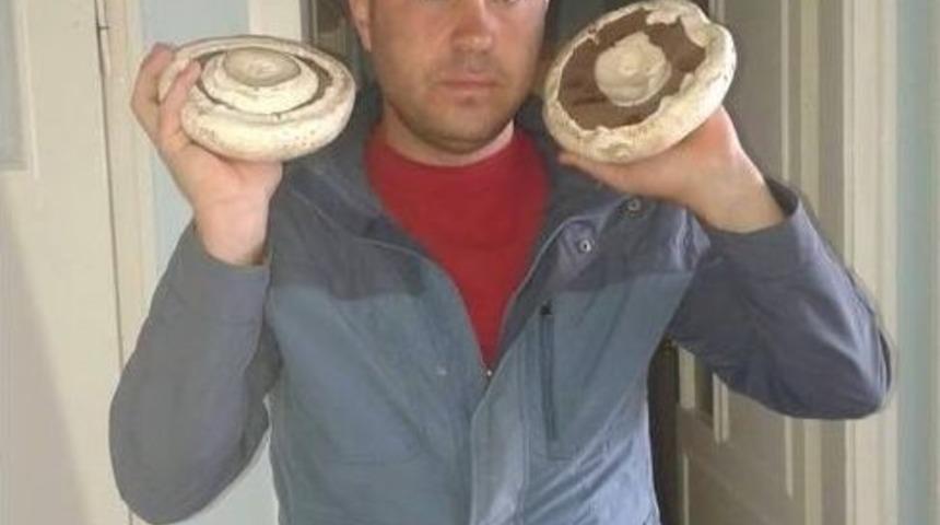 Bir Bu&ccedil;uk Kiloluk Mantar Şaşırttı