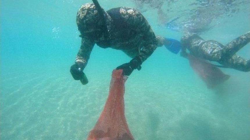 T&uuml;rkb&uuml;k&uuml;&rsquo;nde Sezon &Ouml;ncesi Deniz Dibi Temizliği Yapıldı