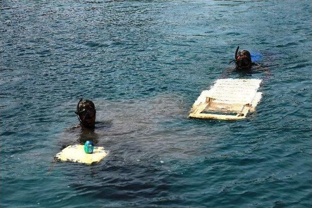 Türkbükü’nde Sezon Öncesi Deniz Dibi Temizliği Yapıldı