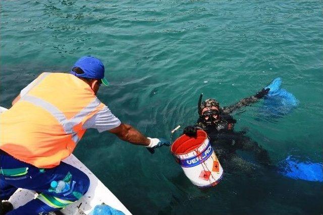 Türkbükü’nde Sezon Öncesi Deniz Dibi Temizliği Yapıldı