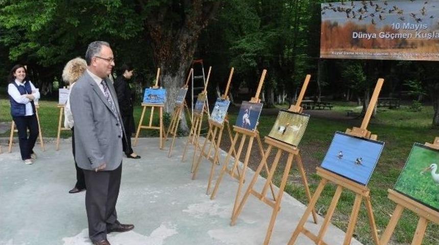 Bartın&rsquo;da Oryantiring G&uuml;n&uuml; Etkinliği D&uuml;zenlendi