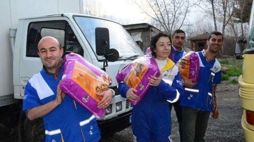 Haytap&rsquo;tan 19 Farklı Noktaya 6,5 Ton Kedi Maması