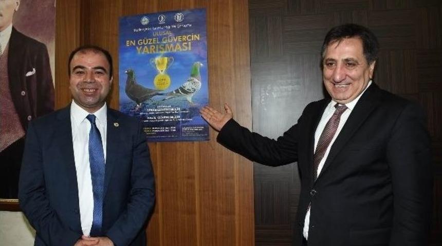En G&uuml;zel G&uuml;vercinler Şanlıurfa&rsquo;da Belirlenecek