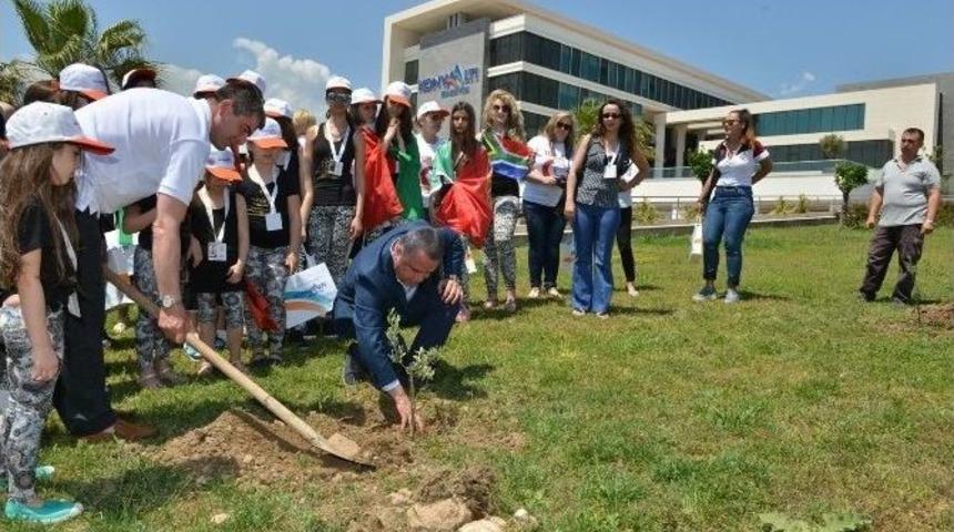 Başkan B&ouml;cek, &Ccedil;ocuklar İle Zeytin Fidanı Dikti