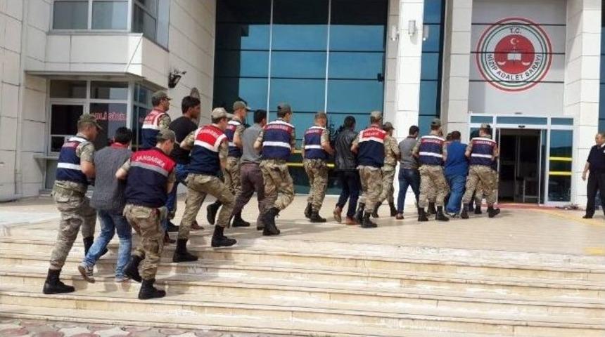 Hayvan Hırsızlığı Yapan 7 Kişi G&ouml;zaltına Alındı