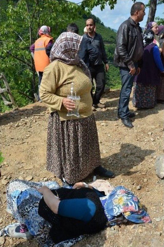 Ordu’da Minibüs Uçuruma Yuvarlandı: 1 Ölü, 5 Yaralı 1