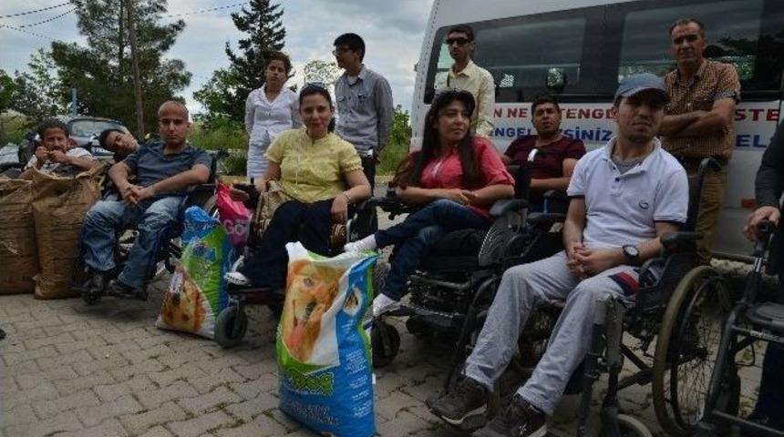 Engelliler Haftası&rsquo;nda Engellilerin Haklarına Dikkat &Ccedil;ekildi
