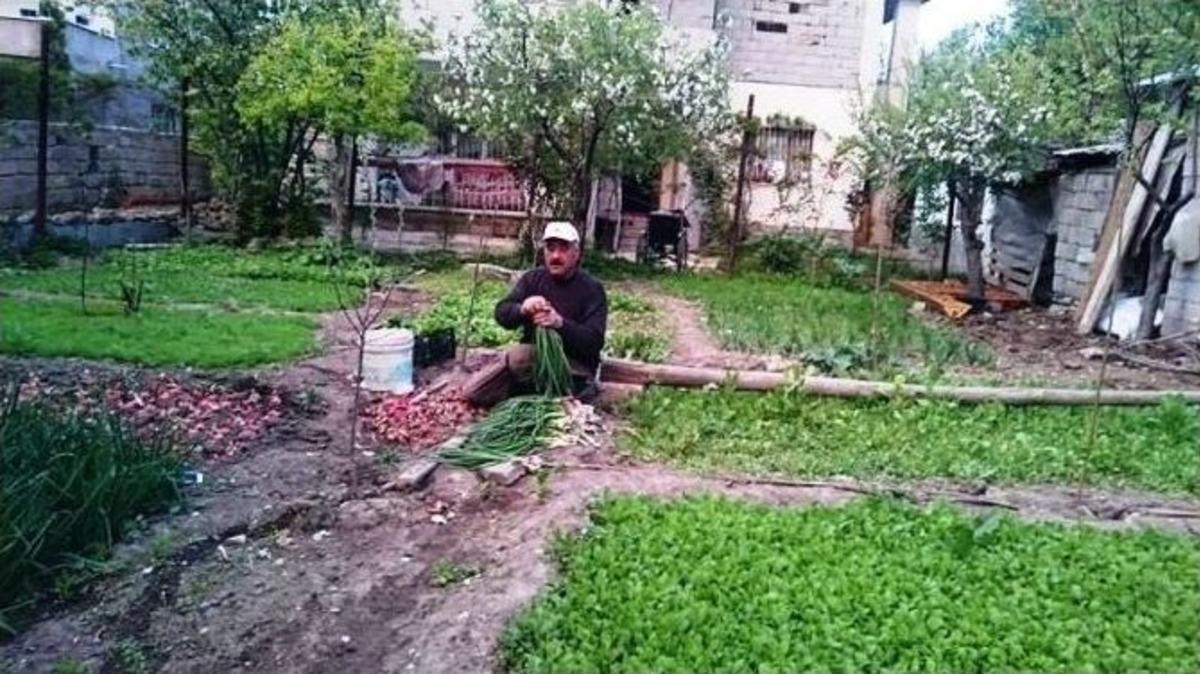 Van&rsquo;da Sebze Yetiştirerek &Ccedil;ocuklarını Okutuyor