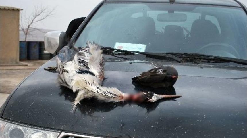 Batman&rsquo;da Ka&ccedil;ak Avlananlara Ceza Yağdı