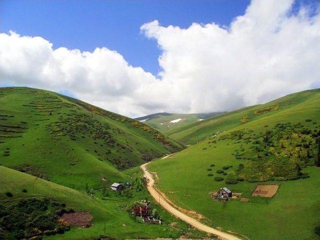 Giresun’un Yüksek Tepelerinde Renk Cümbüşü