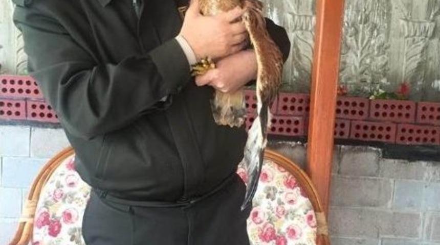 &Ccedil;obanın Bulduğu Yavru Doğanlar Koruma Altına Alındı