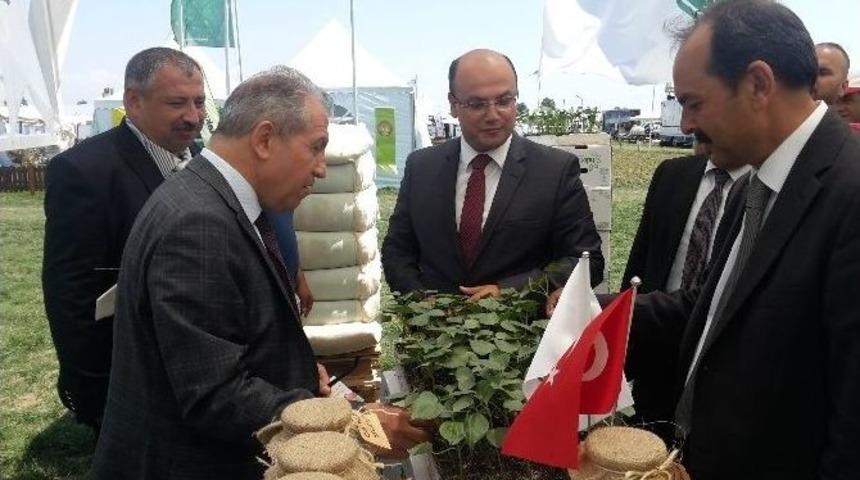 Tarla G&uuml;nleri Fuarı Kapılarını A&ccedil;tı