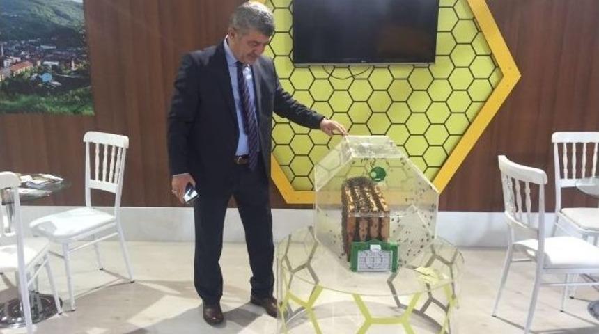 D&uuml;zce Tanıtım G&uuml;nlerinde Yığılca Standına B&uuml;y&uuml;k İlgi