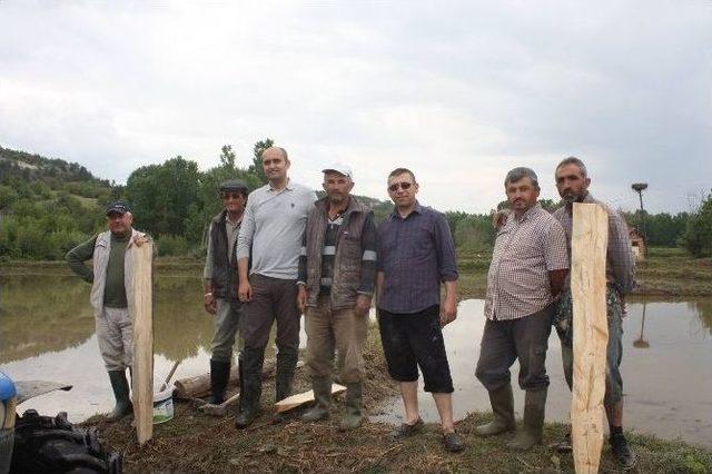 Saraydüzü’nde Çeltik Ekimi Başladı