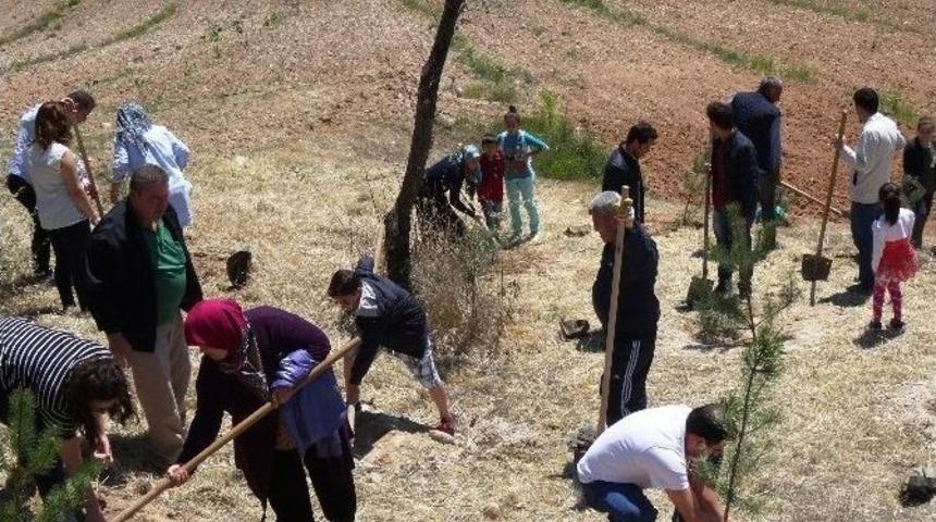 Sultansuyu&rsquo;nda Anneler G&uuml;n&uuml; Etkinliği