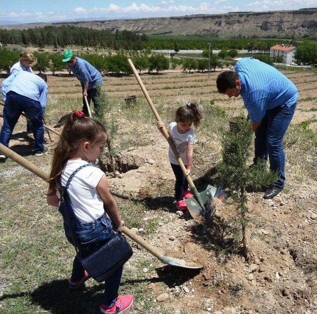 Sultansuyu’nda Anneler Günü Etkinliği