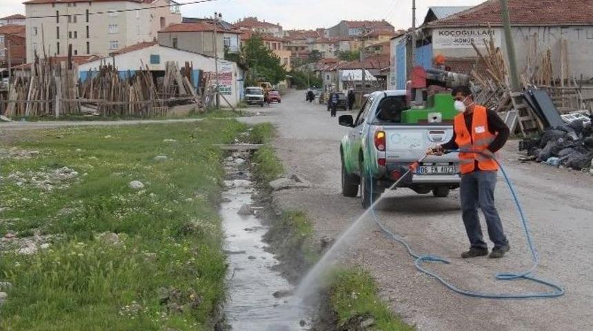 Sungurlu Belediyesi İlaçlama Çalışmalarına Hız Verdi