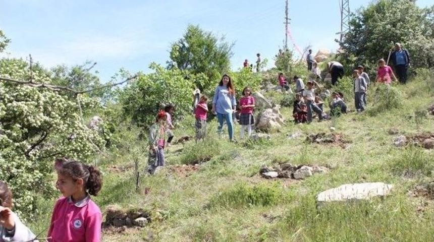 &Ccedil;emişgezek&rsquo;te İlkokul &Ouml;ğrencileri Fidan Dikti