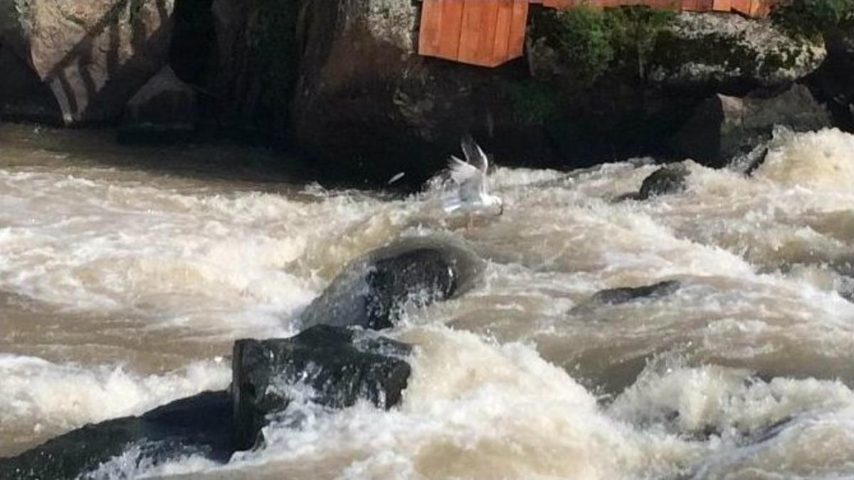 İnci Kefalinin G&ouml;rsel Ş&ouml;leni Başladı