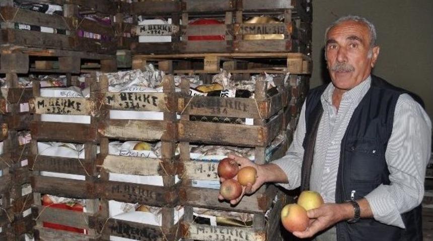 Şeftaliyi Kırağı Vurdu