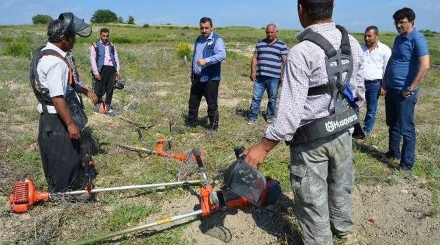 Osmaniye&rsquo;de End&uuml;striyel Ağa&ccedil;landırma &Ccedil;alışmaları