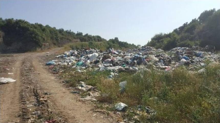 Zeytinliği &Ccedil;&ouml;pl&uuml;ğe &Ccedil;evirdiler