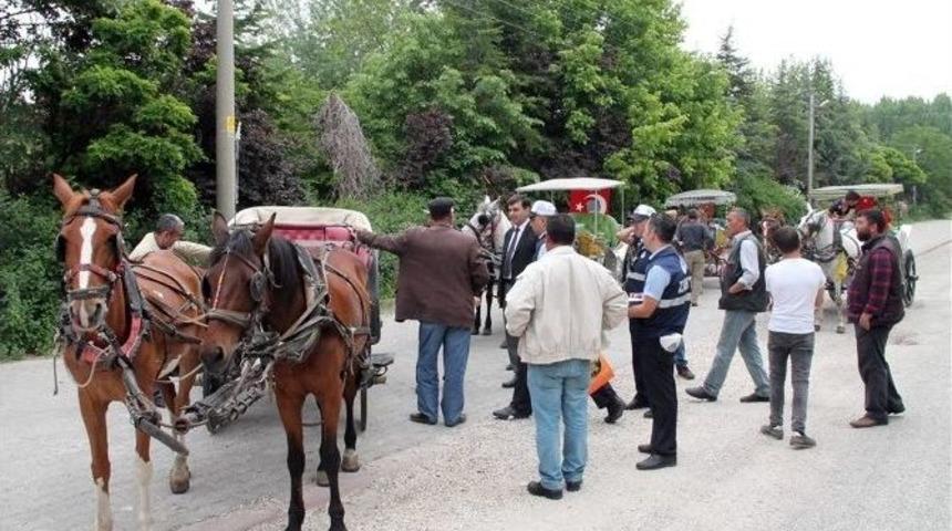 Atlar Ve Faytonlar Denetlendi
