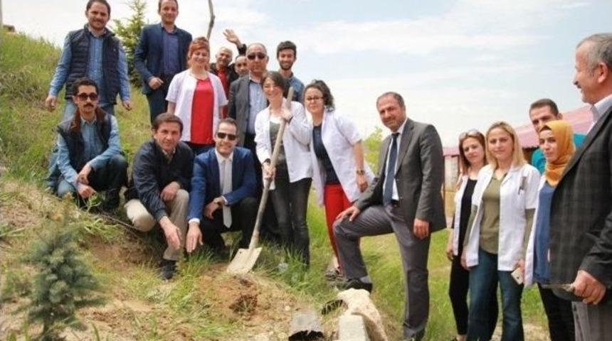 Sağlık &Ccedil;alışanlarından Fidan Dikimi