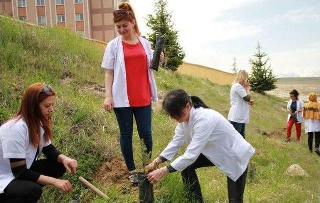 Sağlık Çalışanlarından Fidan Dikimi