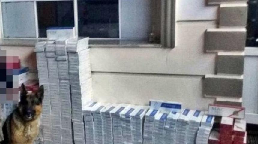 G&uuml;mr&uuml;k Ka&ccedil;ağı 10 Bin Paket Sigara Ele Ge&ccedil;irildi