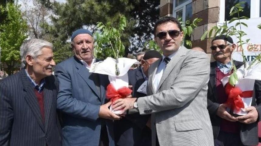 Ahlat&rsquo;ta 6 Bin 100 Adet Ceviz Fidanı Dağıtıldı