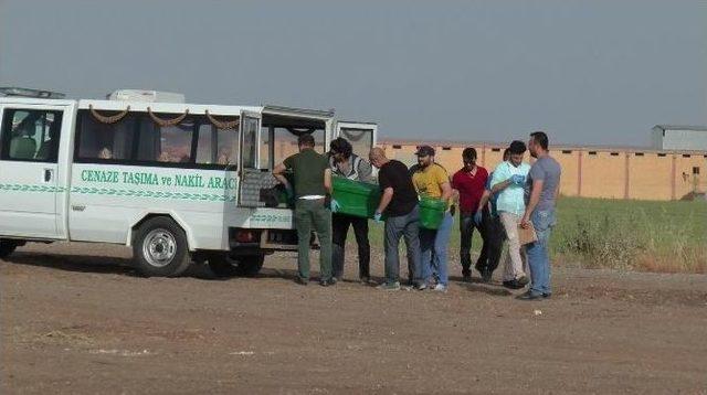 Ter&ouml;ristlerin Cesetleri İncelemenin Ardından Morga Kaldırıldı 2