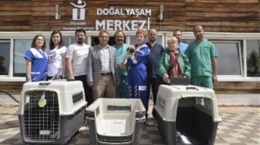 Haytap&rsquo;dan Doğal Yaşam Merkezine Malzeme Yardımı