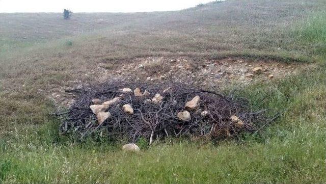 Siirt&rsquo;te D&uuml;d&uuml;kl&uuml; Tencerelerde 722 Kilo Patlayıcı Ele Ge&ccedil;irildi 1
