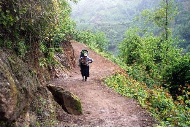 Kendi Yolunu Kendi Yaptı 1
