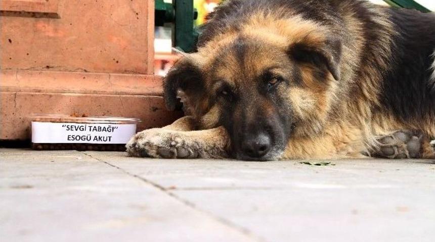 Esog&uuml; Akut &Ouml;ğrenci Topluluğu&rsquo;ndan &ldquo;sevgi Tabağı&rdquo;