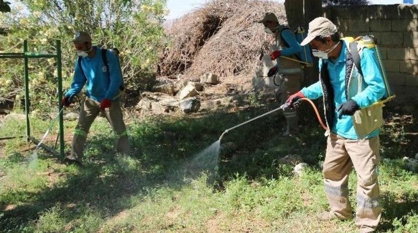 Haliliye Belediyesi Haşere İle M&uuml;cadelesini S&uuml;rd&uuml;r&uuml;yor