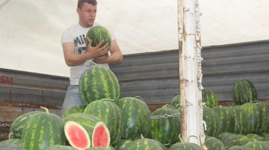 Karpuzlar Tezgahlardaki Yerini Aldı